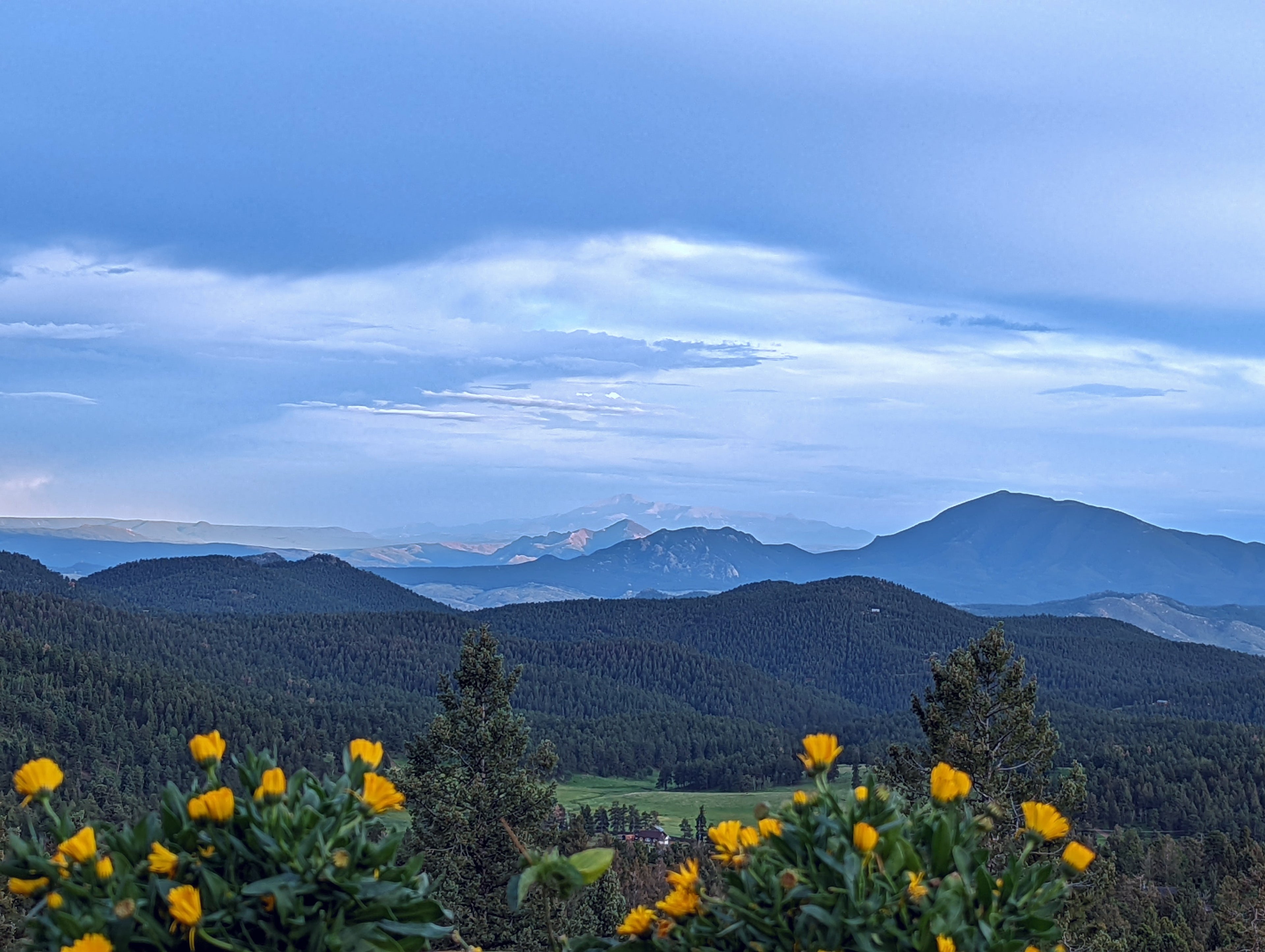 Scenic view of mountains with yellow flowers in the foreground